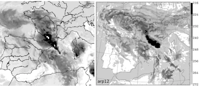 Figure 17a shows the temporal evolution of the precipitating hydrometeors averaged on a 3D box including the  convec-tive system