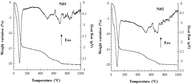 Figure 3. Thermogravimetric and differential thermal analysis (TGA-DTA) patterns of  samples Ni01 and Ni02