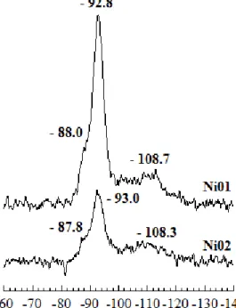 Figure 4.  29 Si nuclear magnetic resonance (MAS-NMR) spectra of samples Ni01 and Ni02
