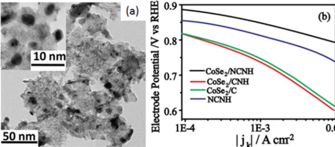 Figure  26.  (a)  TEM  image  for  CoSe 2 /NCNH  sample.  (b)  Tafel  plot  for  ORR  on  CoSe 2 /NCNH,  CoSe 2 /CNH, CoSe 2 /C  and  NCNH.  Reprinted  with  permission  from  [229]. Copyright  John  Wiley  &amp; 