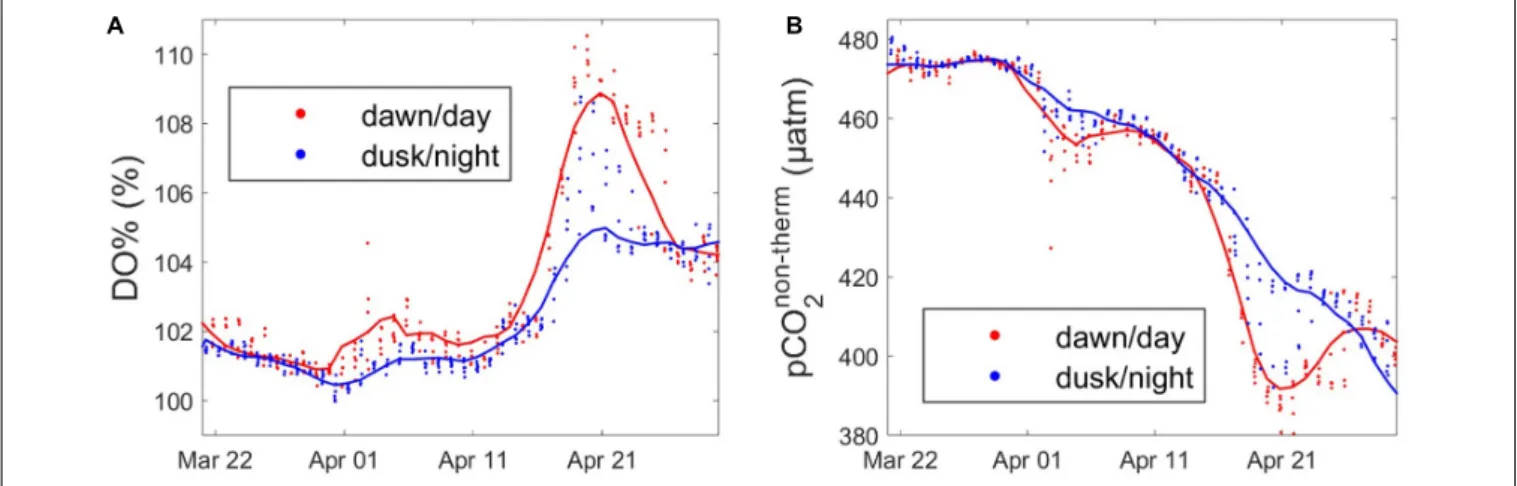 FIGURE 7 | Diurnal variability of (A) DO% (%) and (B) pCO 2 non−therm (µatm) data extracted at dawn (red) and dusk (blue) ± 3 h during the productive period, from 22/03/2016 to 27/04/2016