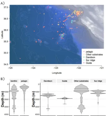 Figure 1. (A) Locations of the sampling sites for benthic and pelagic data sets. Samples are based on observations  during ROV-dives off the California coast from 1991–2016