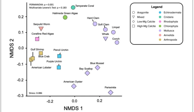 FIGURE 5 | Non-metric Multidimensional Scaling (NMDS) ordination of the elemental ratio data projected to two-dimensions and colored by taxon phylum