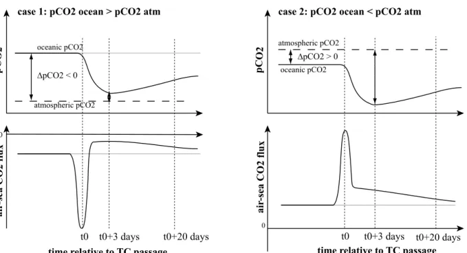 Figure 9. Composite time evolution of TC-induced air-sea flux anomalies: controlling mechanisms.