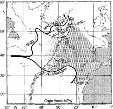 Fig. 1. Schematic ocean surface circulation in the Northeast Atlantic after Sy (1988)