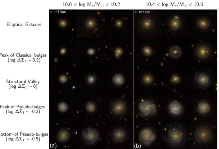 Figure 8. Sample SDSS postage stamps for G09 galaxies with redshifts z ∼ 0.04. Panel (a) shows galaxies with 10.0 &lt; log M ∗ /M  &lt; 10.2, and panel (b) shows galaxies with 10.4 &lt; log M ∗ /M  &lt; 10.6
