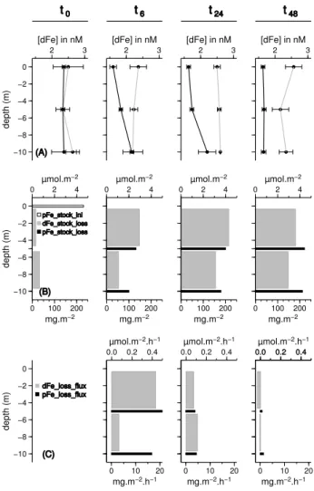 Fig. 5. Scavenging of dissolved iron on settling particles during the first 48 h of the DUNE-1-P experiment