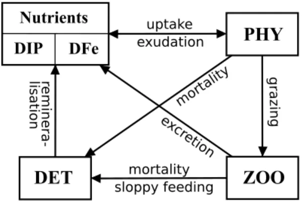 Fig. 1. Ecosystem model.