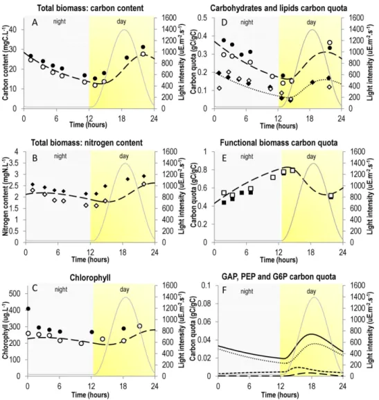 Figure 1. Comparison of simulation results with experimental data. Simulation results were obtained by simulation of system (7) and are represented by dashed or dotted lines