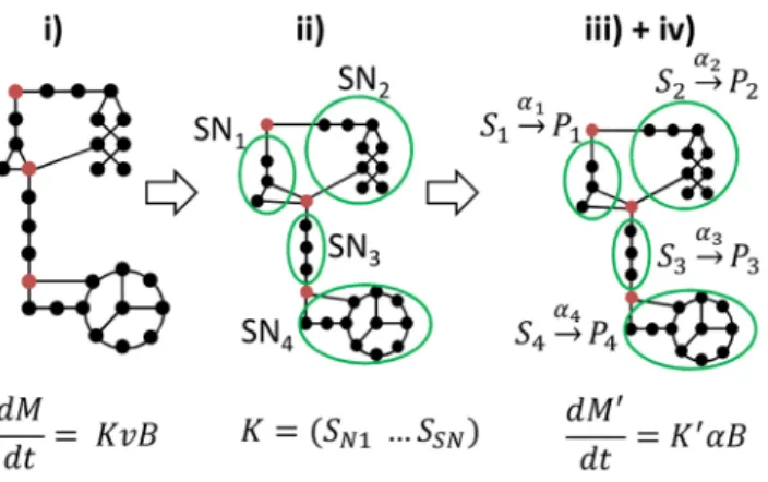 Figure 2. Modeling approach decomposed into 4 steps. The complete network (step i) is decomposed into sub-networks (SN) assumed at quasi-steady state (step ii)
