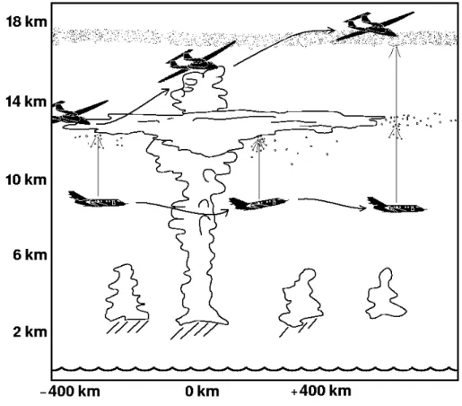 Fig. 1. Sketch of flight strategy of the Falcon (below 12 km) and the Geophysica (up to 21 km).