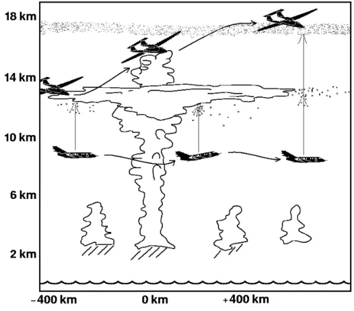 Fig. 1. Sketch of flight strategy of the Falcon (below 12 km) and the Geophysica (up to 21 km).