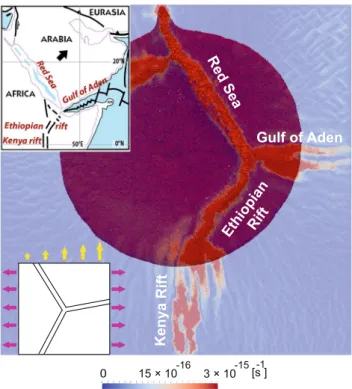 Figure 3.  Triple junction model. This experiment (extension half rate of 3 mm/yr combined with irregular  northward pull of 3–6 mm/yr; see Fig. 2f) reproduces the first-order structures of Afro-Arabian rift system from  the Red Sea to the Kenyan Rift (top