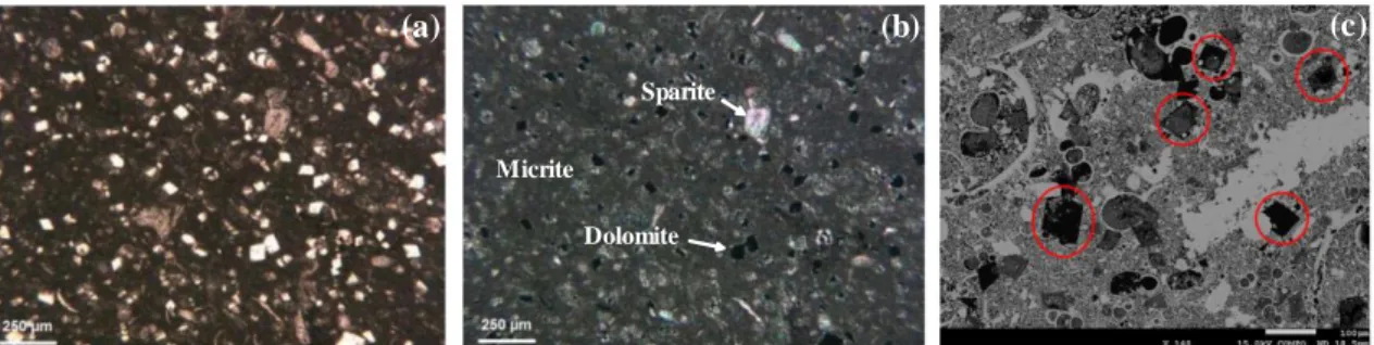 Figure 4 shows the evolution of the axial viscoplastic strain  ax vp  and lateral viscoplastic strain 