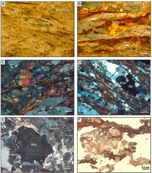 Figure 5. Microphotographs in transmitted light of the selected thin sections illustrating the main petrographic features of the different lithologies of the Case Tuberto-Calizzano basement