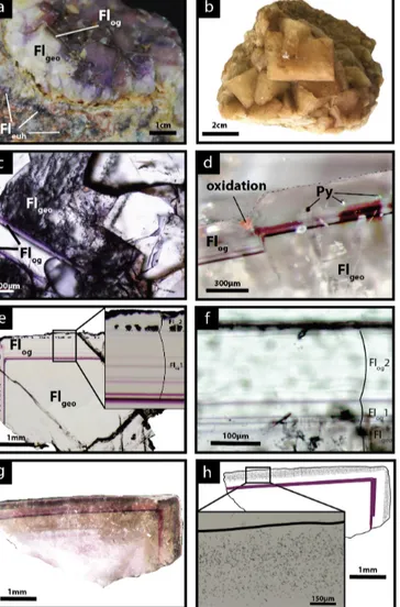 Figure 3. Photographs of the fluorite stages from the Pierre- Pierre-Perthuis ore. (a) Geode in the altered granite with milky white  cu-bic crystals (Fl geo ) and the translucent fluorite overgrowth (Fl og ) delimited by a thin purple band