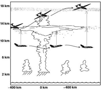 Fig. 1. Sketch of flight strategy of the Falcon (below 12 km) and the Geophysica (up to 21 km)