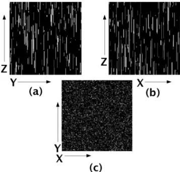 Figure 3. (a) and (b) Section of simulated structure along x–z planes and y–z planes, respectively for φ = 0.072, that is low porosity, matching the porosity of the real rock