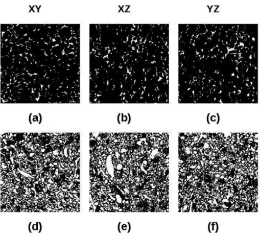 Figure 4. Each section is a square of side 2.58 × 10 − 3 m. The black and the white indicate rock and pore phases