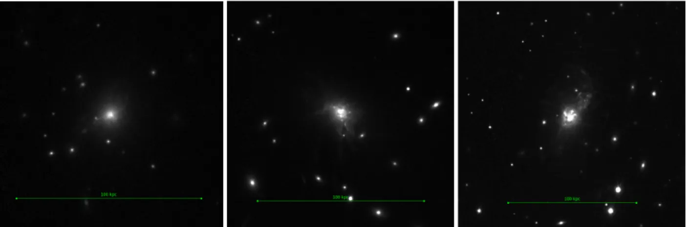 Fig. 7. From left to right: MACS J0329–0211 (z = 0.45), an example of a red star forming BCG; RX J1532+3020 (z = 0.3615) and MACS J1932–