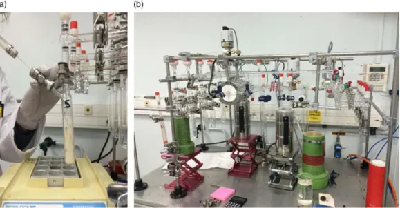 Figure 4  (a) First ninhydrin introduction through the septum and (b) CO 2   collection line