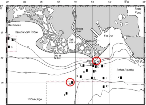 Figure  1     Map of  the Rhône  prodelta  with  the sampling  stations A, D,  and Z. 