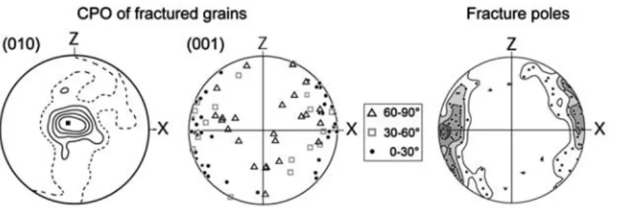 Figure 12. Statistics of angles between poles to (001) planes and corresponding fractures crosscutting the grains represented by frequency histogram and a doughnut diagram