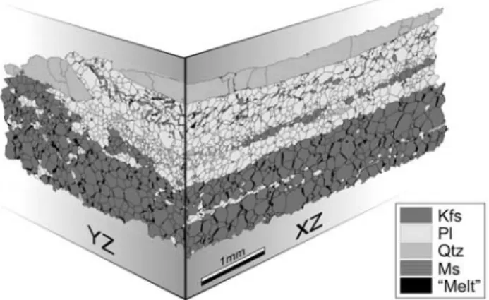 Figure 8. R f /f diagram of the intergranular melt pockets within the K-feldspar aggregate from the XZ section.