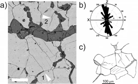 Figure 10. (a) Detail of two fractured grains. Arrows and numbers designate group 1 and 2 fractured grains