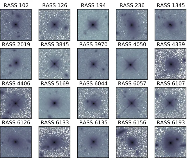 Figure 2. HST F160W image cut-outs of the twenty AGN before 2D modelling. Individual cut-outs are 10 00 x 10 00 and are oriented as observed rather than North up and East left to show the similarity in PSF patterns.