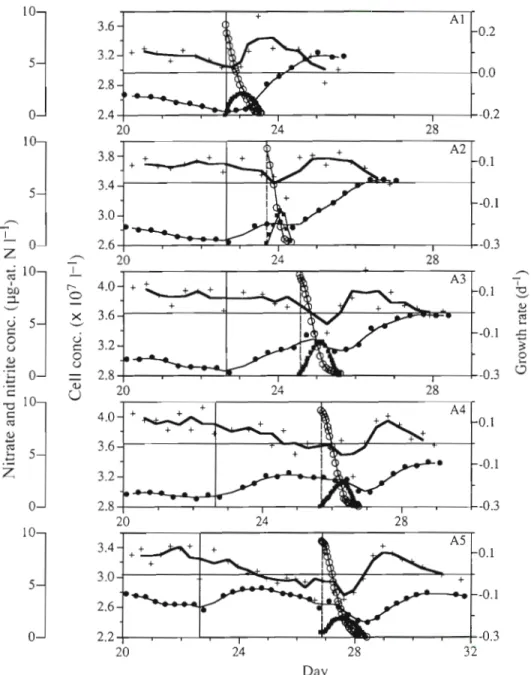 Fig.  4  shows nitrite  excretion  and nitrate  absorption  in a continuous culture supplied with nitrate pulses at 