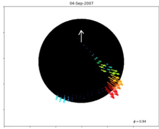 Fig. 8. Map of the velocity field on χ Cyg on September 4, 2007. A uniform radial velocity is assumed except for those places at which polarisation indicates higher velocities