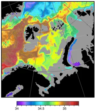 Fig. 3. Salinity at a depth of 205 m (model level 21).