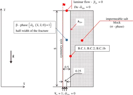 Figure 4. Geometry of the studied domain. Initial and boundary conditions are reported there.