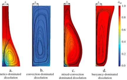 Figure 5. Example of numerical patterns of dissolution: (a) kinetics-dominated dissolution, Pe = 2.0, Da = 2.0, Ri = 7.14  10 2 ; (b) convection-dominated dissolution, Pe = 0.2, Da = 0.2, Ri = 7.14  10 6 ; (c) mixed-convection-dominated dissolution, Pe = 0