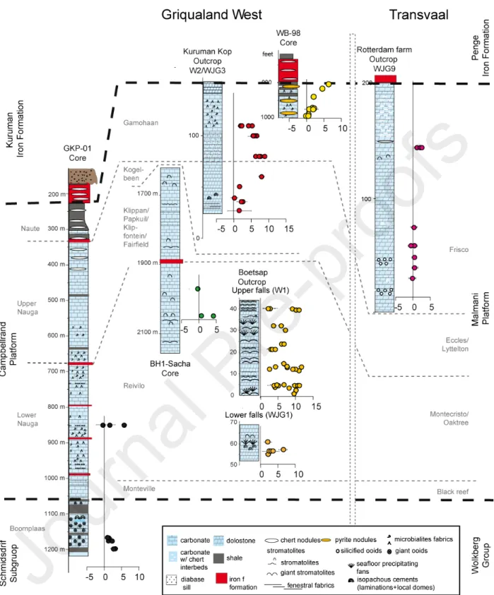 Figure  5  Stratigraphic  sections  of  the  outcrops  and  cores  across  the  Campbellrand-Malmani  platform showing the Δ 33 S values