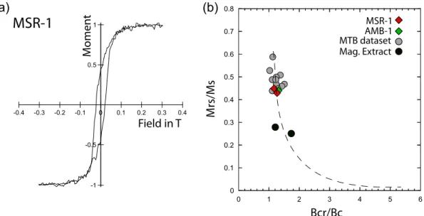 Figure 2. (a) Magnetic hysteresis loop for MSR-1 magnetotactic bacteria used in this study