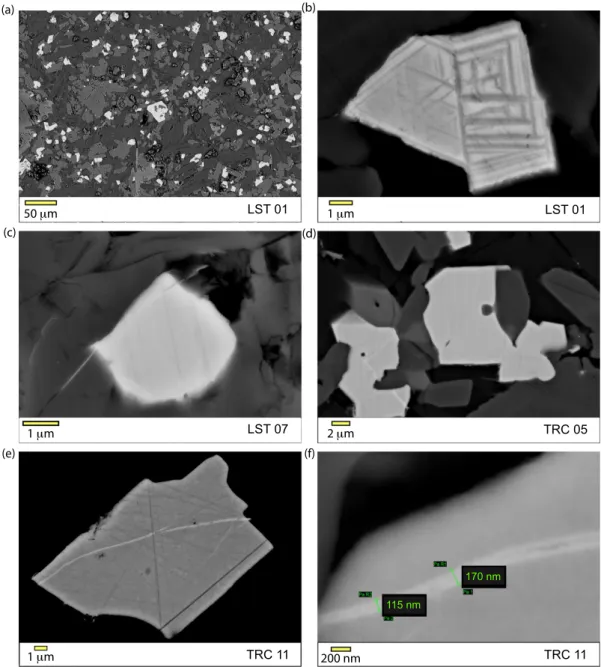 Figure 6. Scanning electron microscope (SEM) images in backscatter mode. (a) Low magnification view of LST01, iron oxides appear white; (b) ilmenite- ilmenite-lamellae in titanomagnetite host from LST01; (c) unexsolved titanomagnetite in LST07, a crack is 