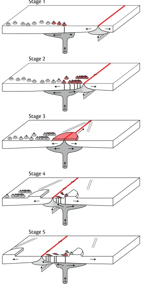 Figure 6. Schematic diagram showing evolution of  an interacting ridge-hotspot system