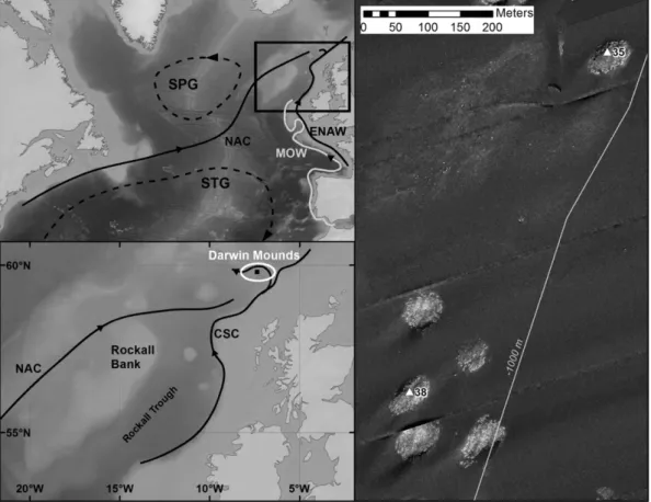 Fig. 1. Location map of the Darwin Mounds and the main water-masses and surface currents of the area, with sidescan sonar backscatter images illustrating coring locations through two small mounds