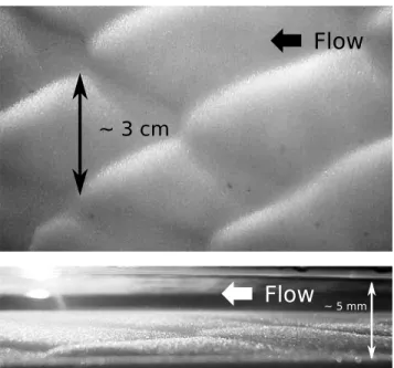 Figure 7. Various bed forms observed in our experiment (flow is from right to left). (a) Large rhomboid pattern (F = 1.76, S = 0.03, and  = 0.616)