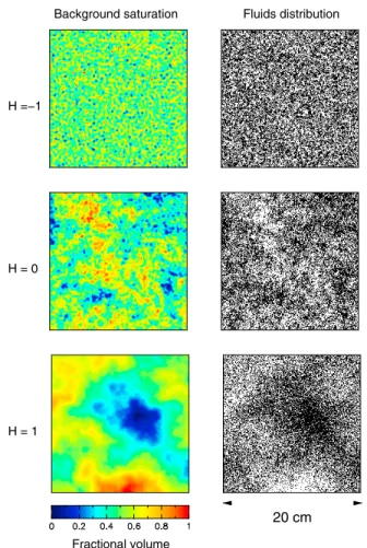 Figure 6. An example of fluid distributions obtained when the fluctuations in the background saturation are self‐affine.