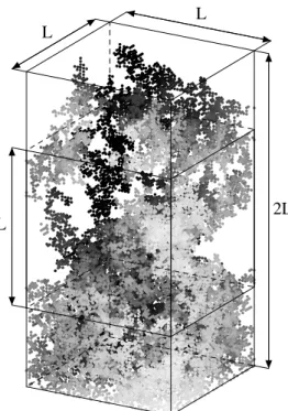 Figure 10. An example of the spatial distribution of fluids obtained using the invasion percolation process