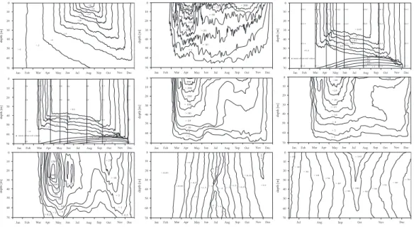 Fig. 5. Annual simulation. Simulated profiles of temperature (a), primary production (b), nutri- nutri-ents – total inorganic nitrogen (c) and phosphate (d), phytoplankton (e), microzooplankton (f), small detritus (g), mesozooplankton – Pseudocalanus elong