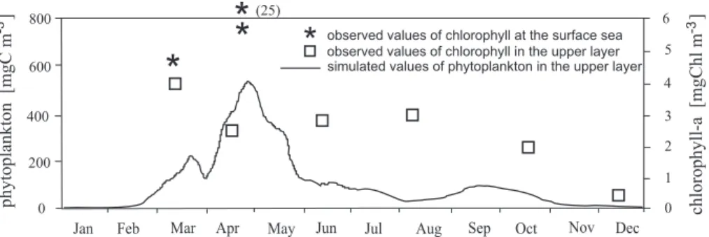 Fig. 9. Simulated values of phytoplankton biomass and mean observed values of chlorophyll-a in the upper layer at the Gda ´nsk Deep in 1999.