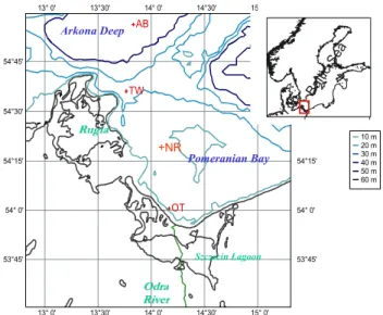 Fig. 1. A schematic indicating sources and fate of FLSM in the near shore environment.