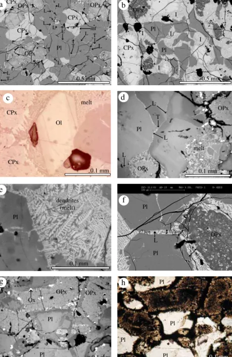 Figure 3. Backscattered SEM microphotographs (a, b) and optical microphotographs (reflected light, c to g; transmitted light, h) of partially molten samples after experiments (Gab2, T max 1162 ◦ C : g and h, Gab3, T max 1168 ◦ C : c, f and e, Gab4, T max 1