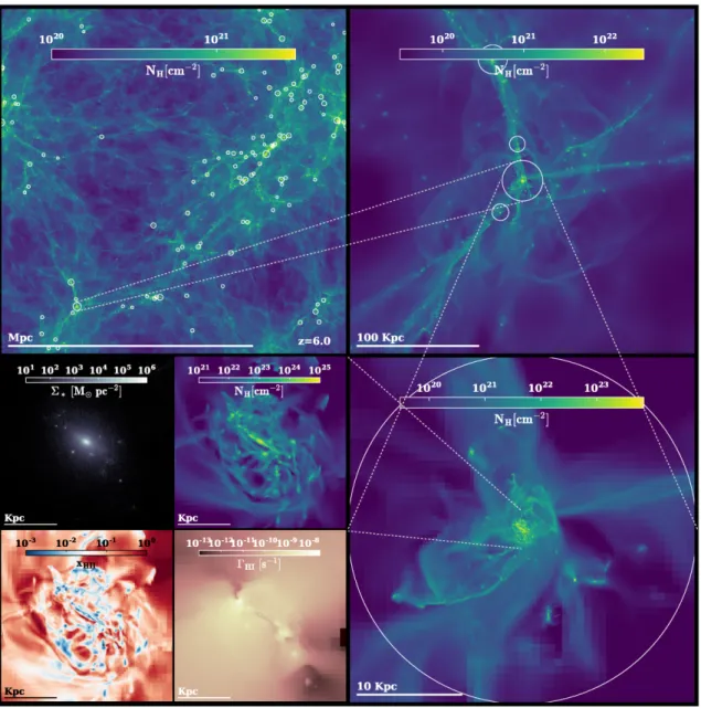 Figure 4. Projections from the 10 cMpc volume at z = 6, run with binary stars ( S 10 512 BINARY )