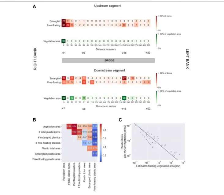 FIGURE 3 | (A) Distribution of vegetation and macroplastics along the river width [%] upstream and downstream the bridge