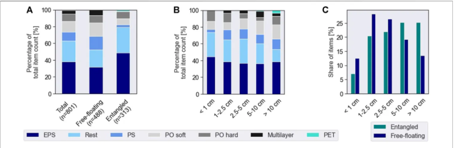 FIGURE 4 | Plastic composition of observed items (A), in relation to size categories (B) and overall size distribution (C).